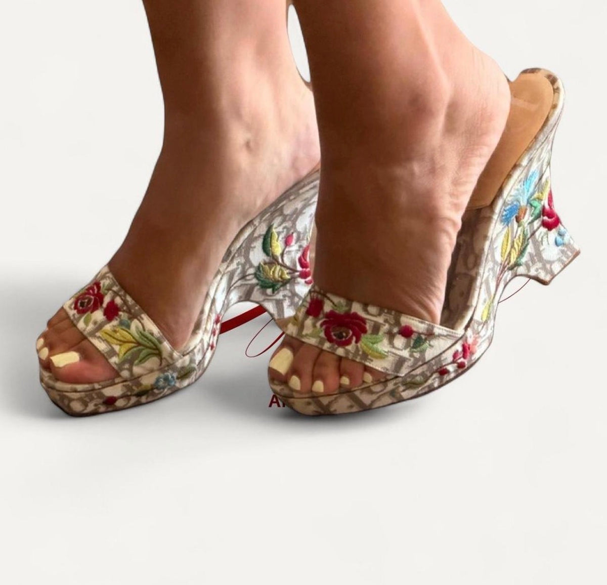 Dior Oblique Jacquard Canvas Heels