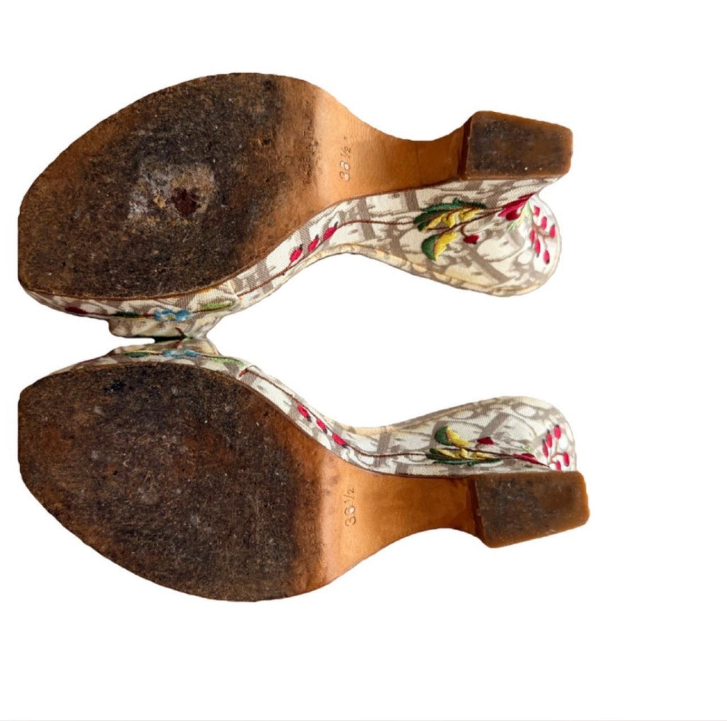 Dior Oblique Jacquard Canvas Heels